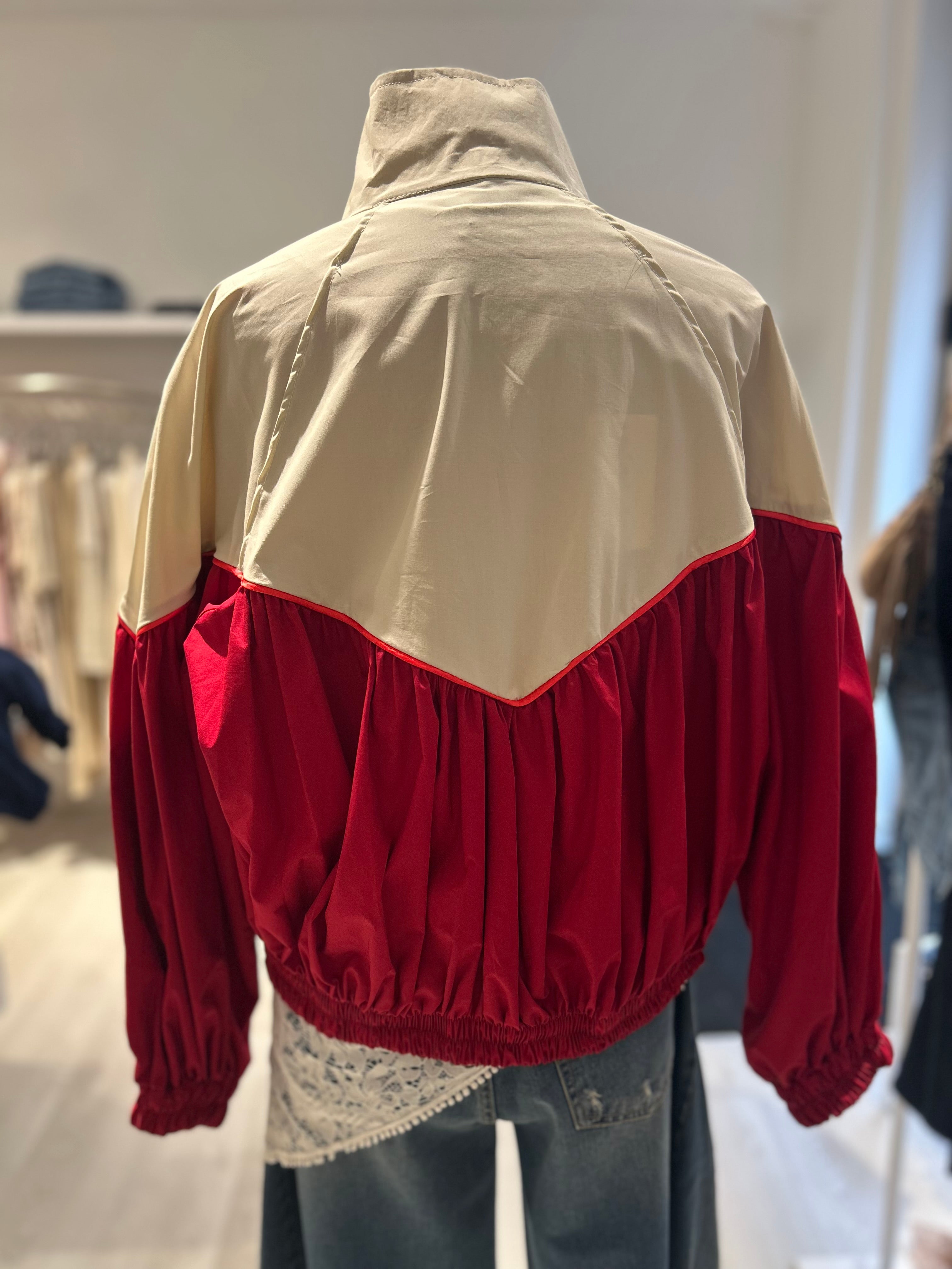 Bomber bicolor